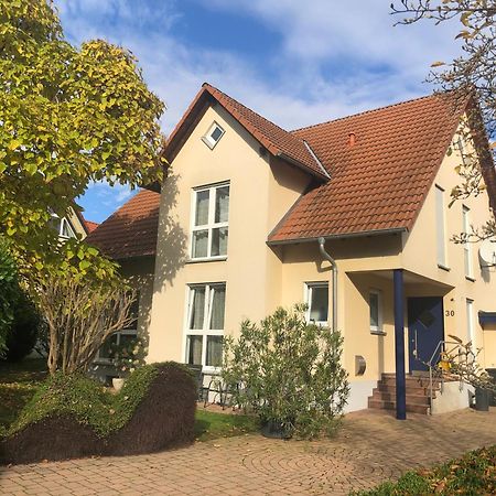 Ferienwohnung Suedpfalz Mit Fernblick Bochingen Bagian luar foto