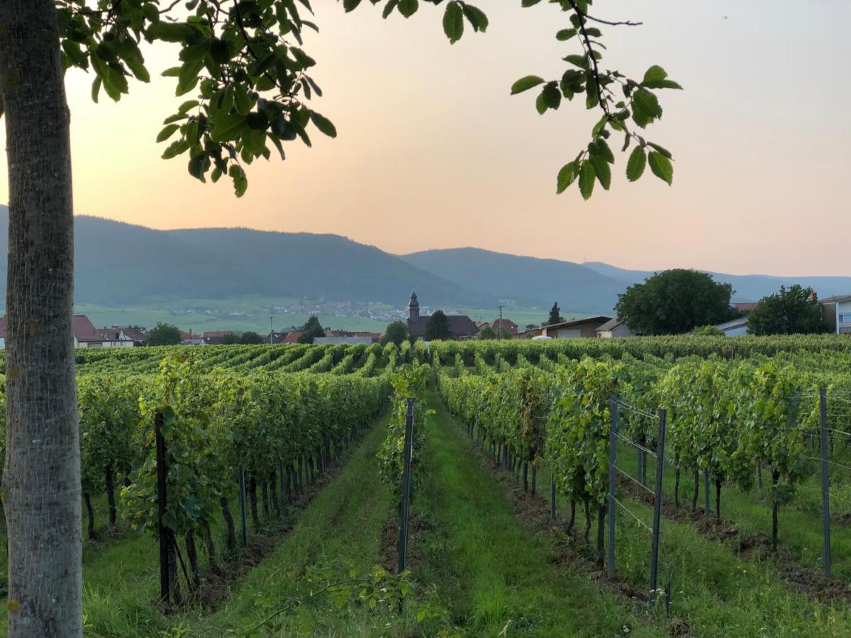 Ferienwohnung Suedpfalz Mit Fernblick Bochingen Bagian luar foto