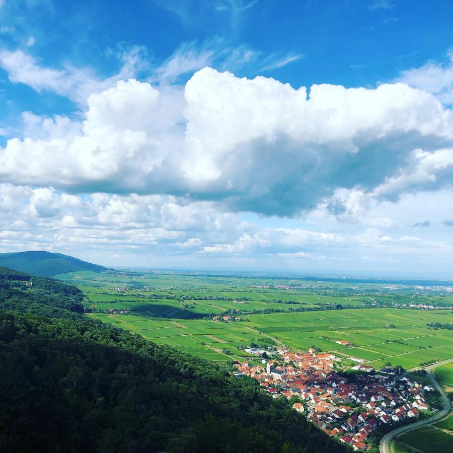 Ferienwohnung Suedpfalz Mit Fernblick Bochingen Bagian luar foto