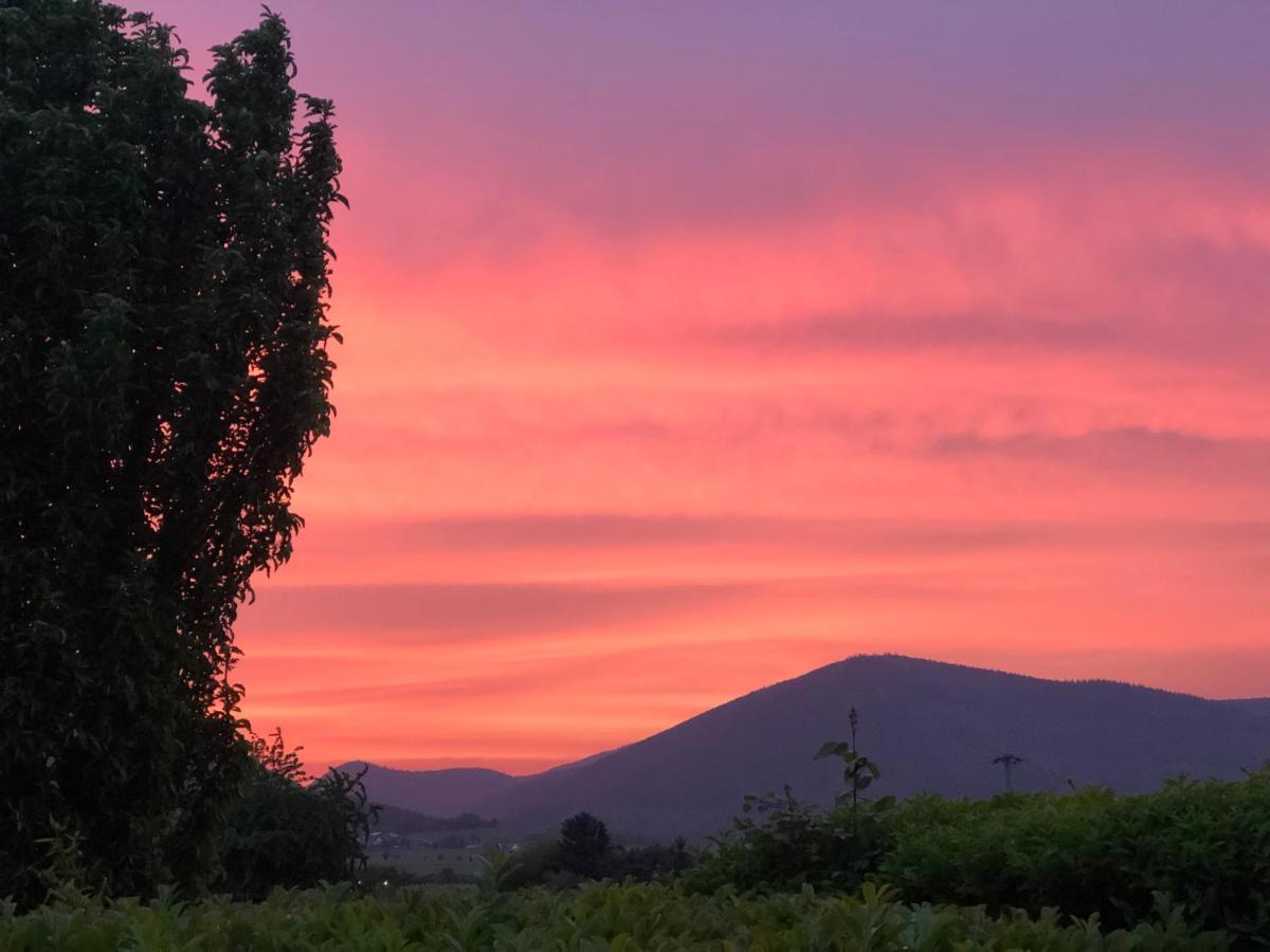 Ferienwohnung Suedpfalz Mit Fernblick Bochingen Bagian luar foto